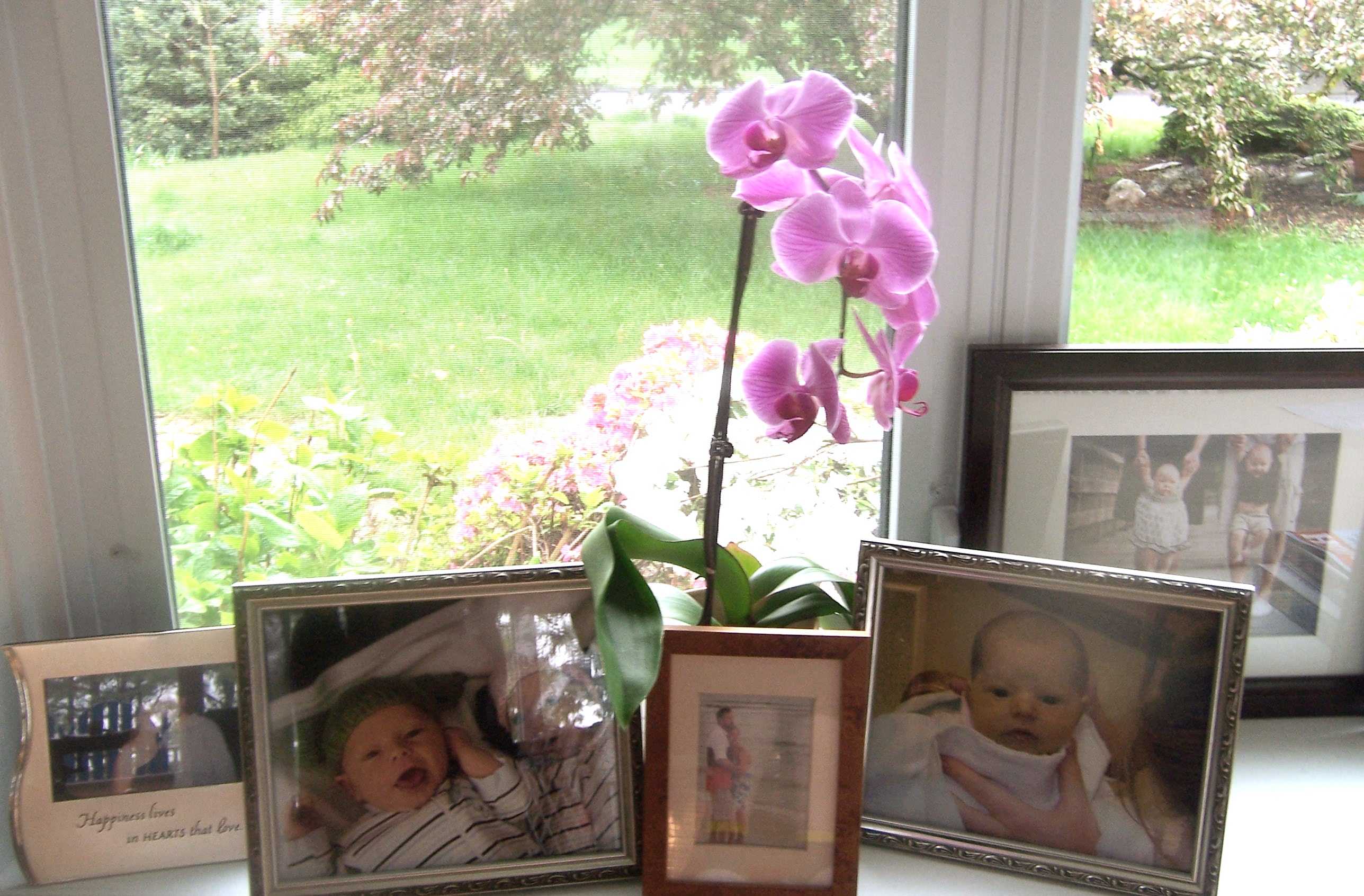 “Over the Rainbow” Incorporating the Memory of the Child You Have Lost Into the Daily Lives of Your Rainbow Babies.