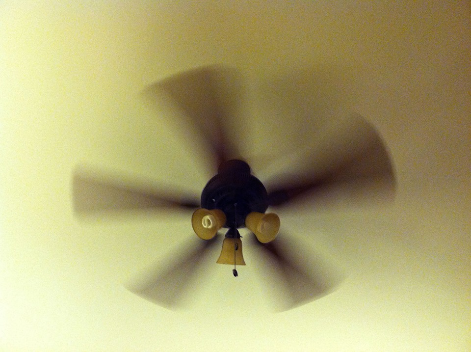 When Surviving Feels Impossible