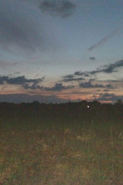 Sometimes there is a release of emotions from an image instead of words.