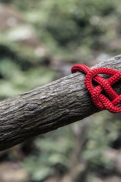 Children change you. Not having children changes you.