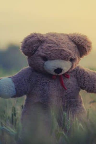 Teddy bear in a field. Just adopt.