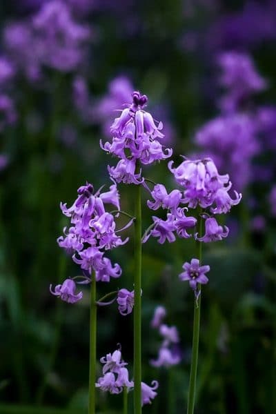 Sometimes in gratitude after grief, thank you is all you can say