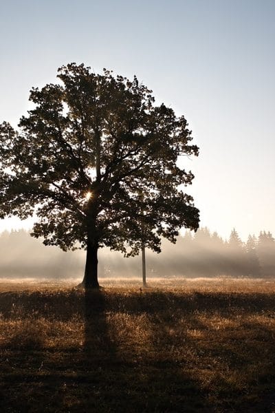 There is no single design such as grief.