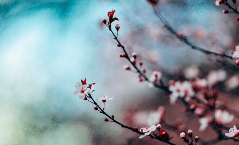 The Pressure Of Trying Again After Loss